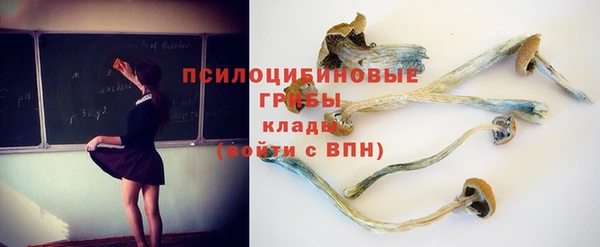 амфетамин Богородицк