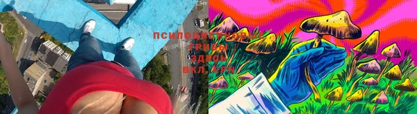 героин Богданович