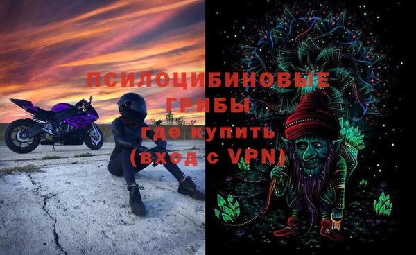героин Богданович